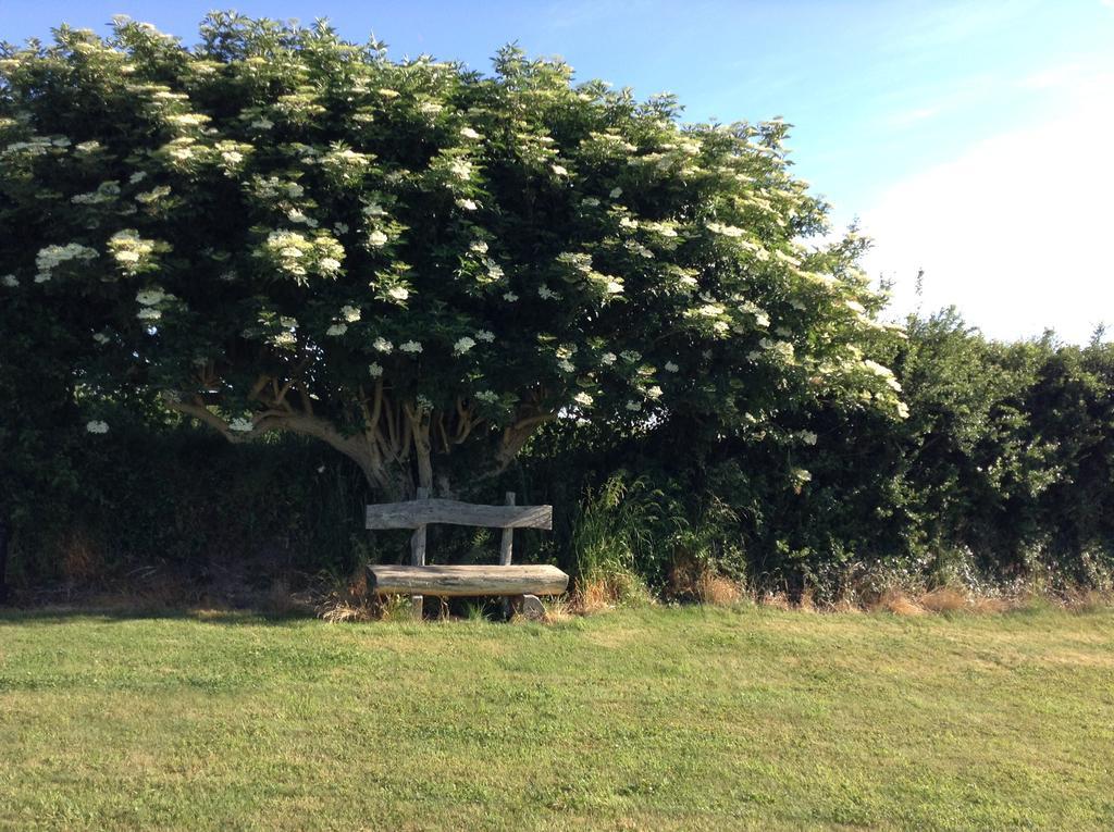 Stabannan Deeside Manor B&B 외부 사진